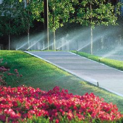 Lawn irrigation system in action near Austin, Texas, with sprinklers spraying water over green grass along a concrete pathway