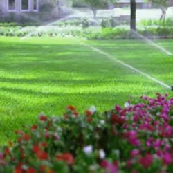 Properly working Sprinkler System Residential Sprinklers